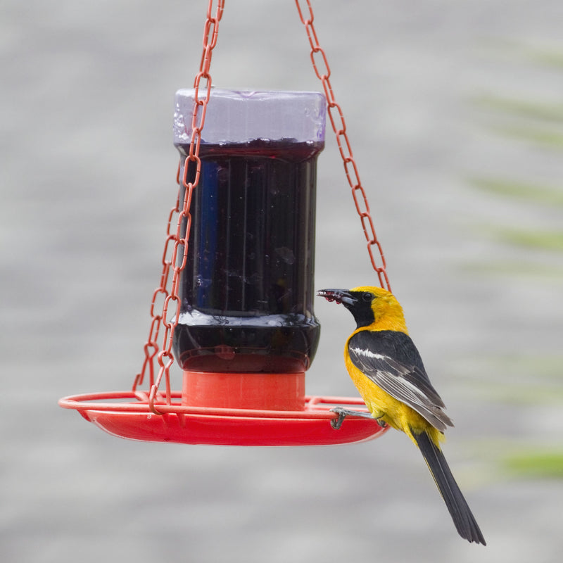 Perky-Pet Oriole 32 oz Metal/Plastic Jelly Feeder Nectar Bird Feeder 3 ports