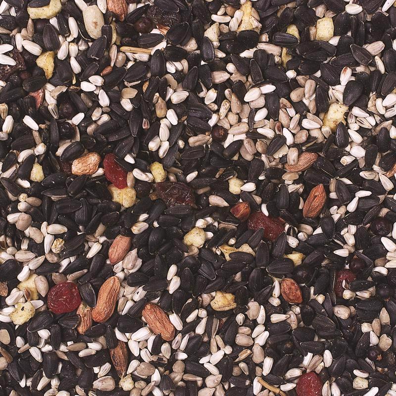 Wild Delight Fruit N Berry Wild Bird Food 5 lb