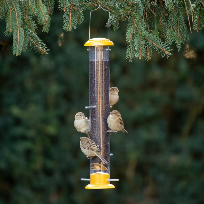 More Birds Finch 1.5 lb PVC/Steel Topsy Tails Tube Bird Feeder 8 ports