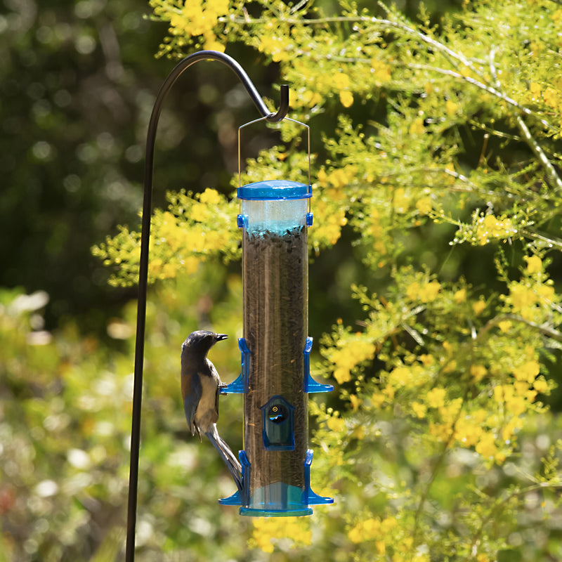 More Birds Songbird 2.5 qt Polycarbonate Large Tube Bird Feeder 6 ports