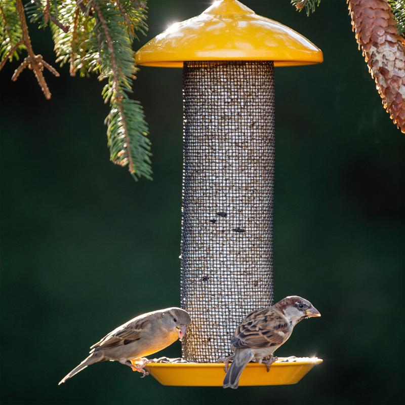 More Birds Finch 1.6 lb Steel Thistle Tube Bird Feeder