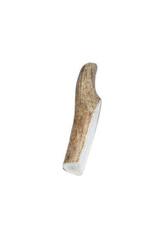 Bucky Bites Small/Medium Adult Antler Antler 3 in. L