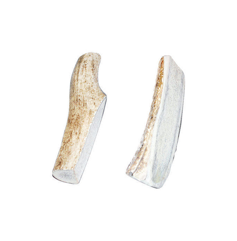 Bucky Bites All Size Dogs All Ages Antler Antler 4 in. L 2 pk