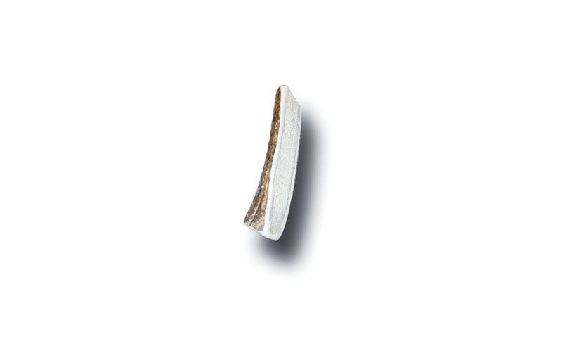 Bucky Bites Medium/Large Adult Antler Antler 4 in. L
