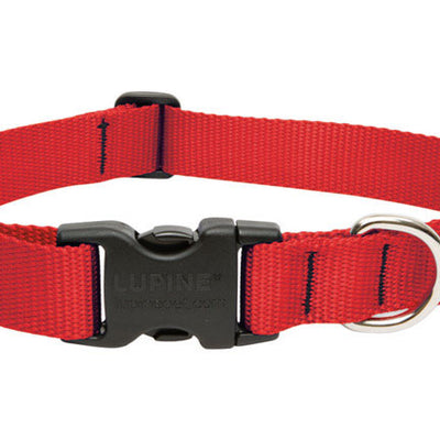 LupinePet Basic Solids Red Red Nylon Dog Adjustable Collar