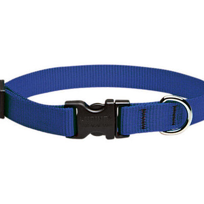 LupinePet Basic Solids Blue Blue Nylon Dog Adjustable Collar