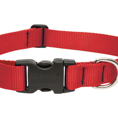 LupinePet Basic Solids Red Red Nylon Dog Adjustable Collar