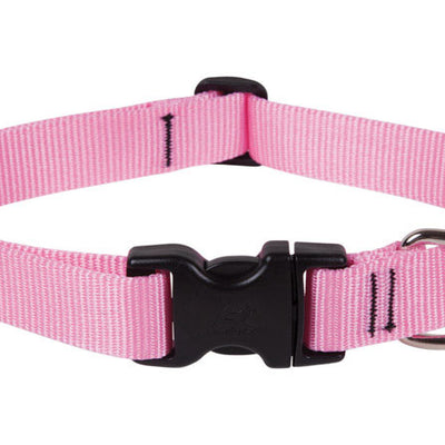 LupinePet Basic Solids Pink Pink Nylon Dog Adjustable Collar