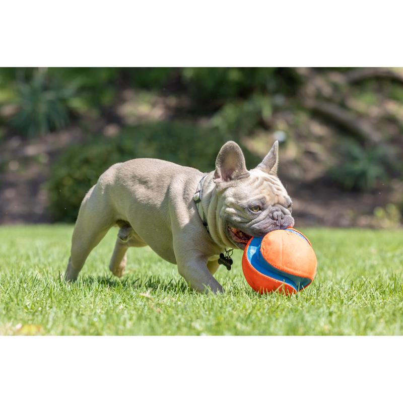 Chuckit! Blue/Orange Rubber Kick Fetch Ball Dog Toy Small