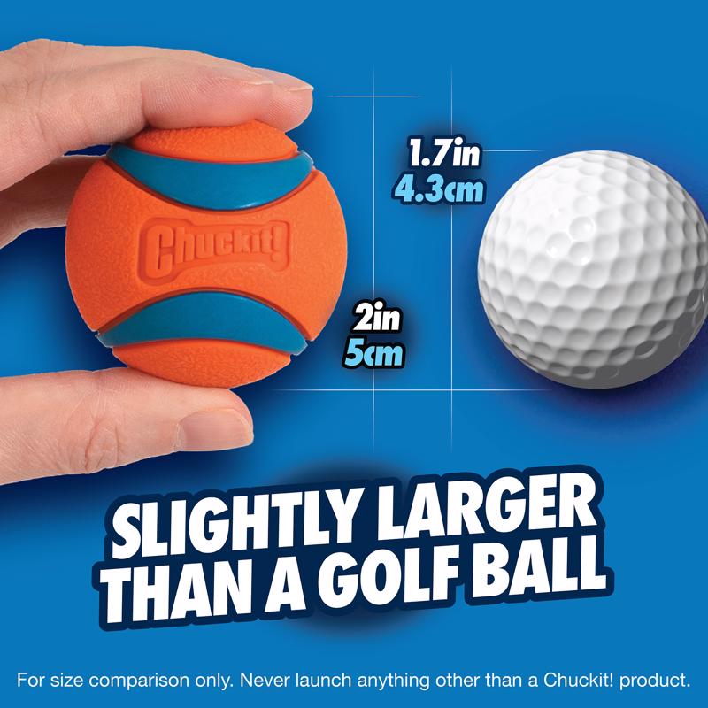 Chuckit! Blue/Orange Rubber Fetch Ball Dog Toy Small 2 pk