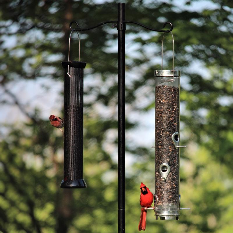 Stokes Select Bird Feeder Pole