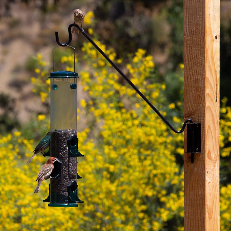 Stokes Select 20 in. H X 1.5 in. W X 5.7 in. D Bird Feeder Hook
