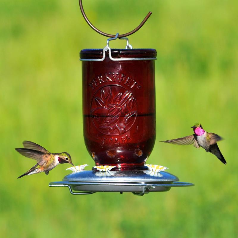 Perky-Pet Hummingbird 32 oz Glass/Metal Mason Jar Nectar Bird Feeder 5 ports