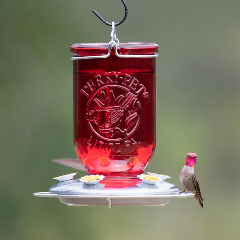 Perky-Pet Hummingbird 32 oz Glass/Metal Mason Jar Nectar Bird Feeder 5 ports