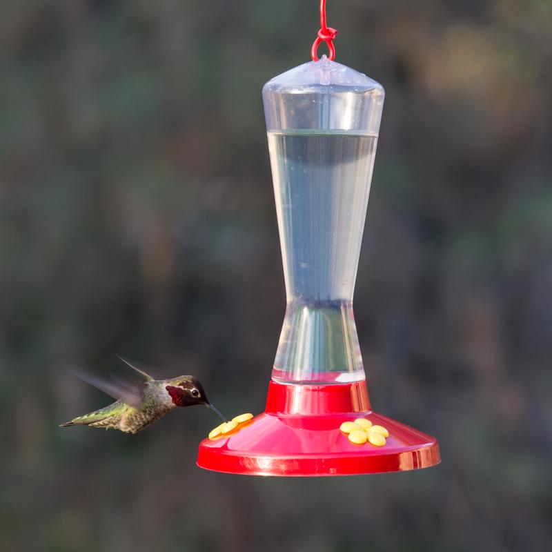 Perky-Pet Hummingbird 8 oz Plastic Nectar Bird Feeder 3 ports