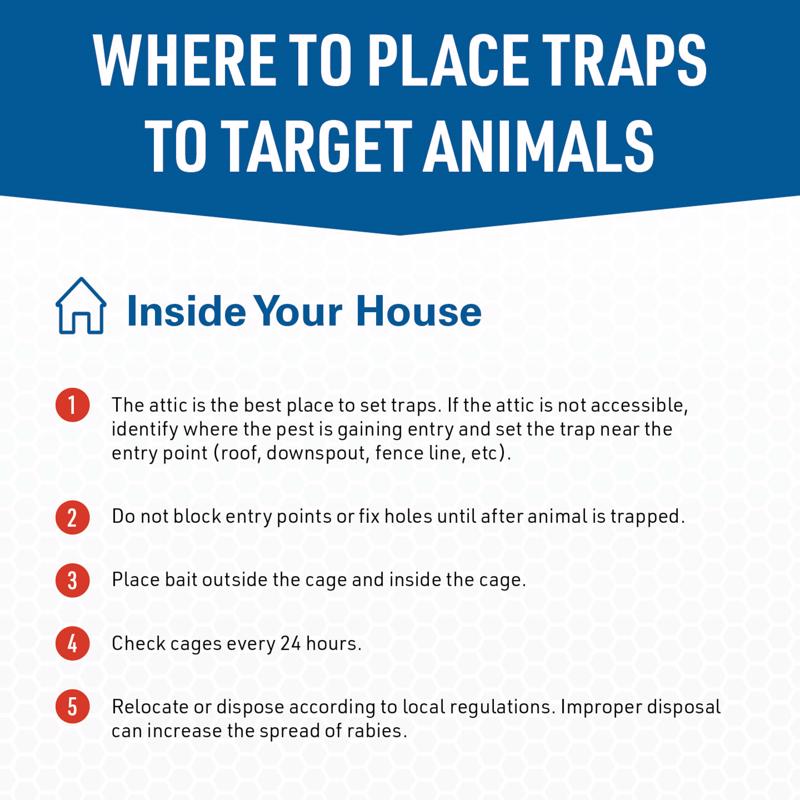 JT Eaton Answer Medium Live Catch Animal Trap For Skunks