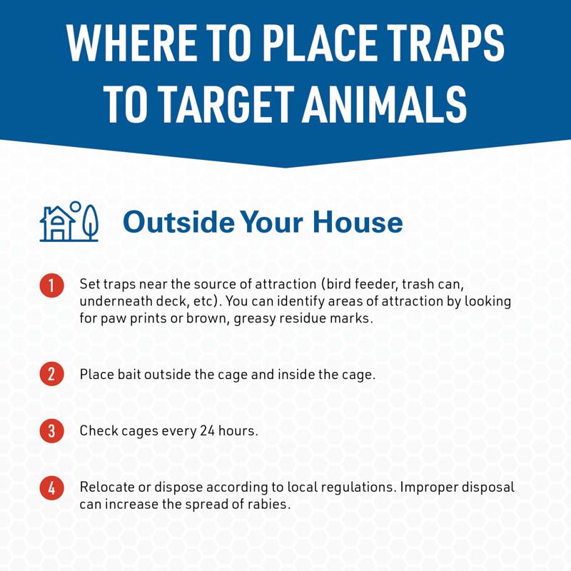 JT Eaton Answer Medium Live Catch Animal Trap For Skunks