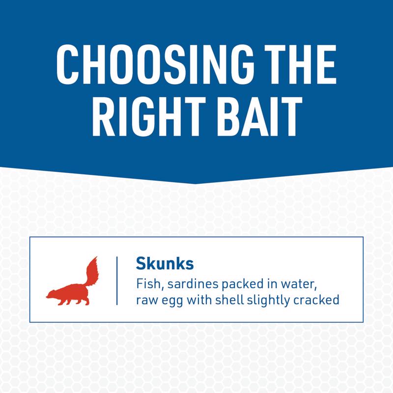 JT Eaton Answer Medium Live Catch Animal Trap For Skunks