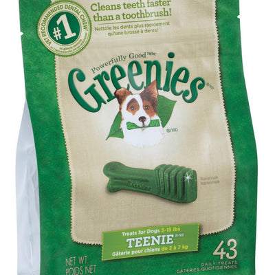 Greenies Mint Dental Stick For Dog 12 oz 9.63 in.