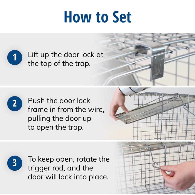 Havahart Large Live Catch Cage Trap For Cats and Raccoons