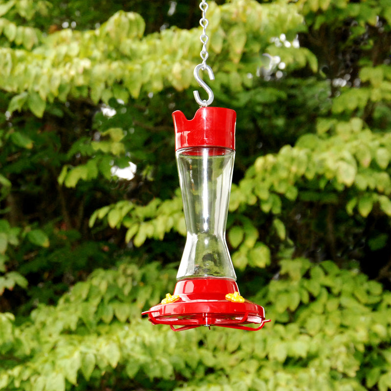 Perky-Pet Hummingbird 16 oz Glass/Plastic Pinch Waist Nectar Bird Feeder 4 ports