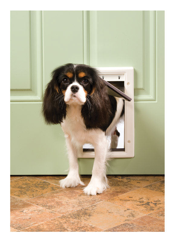 PetSafe 11 in. H X 7.5 in. W Small Plastic Pet Door