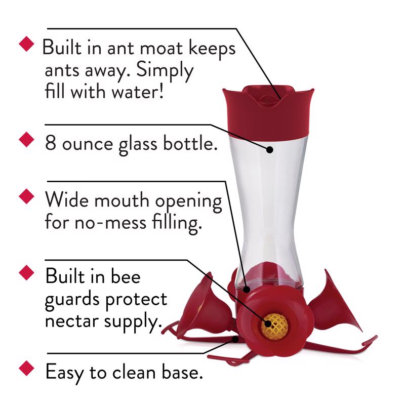 Perky-Pet Hummingbird 8 oz Glass/Plastic Pinch-Waist Nectar Bird Feeder 4 ports