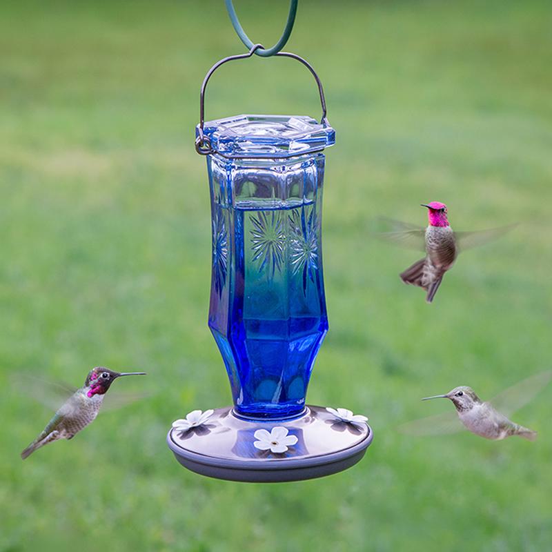 Perky-Pet Hummingbird 16 oz Glass/Metal Sapphire Starburst Vintage Nectar Bird Feeder 4 ports