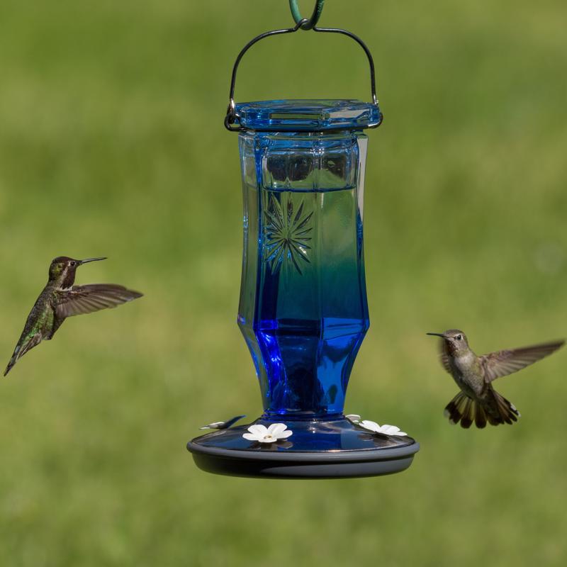 Perky-Pet Hummingbird 16 oz Glass/Metal Sapphire Starburst Vintage Nectar Bird Feeder 4 ports