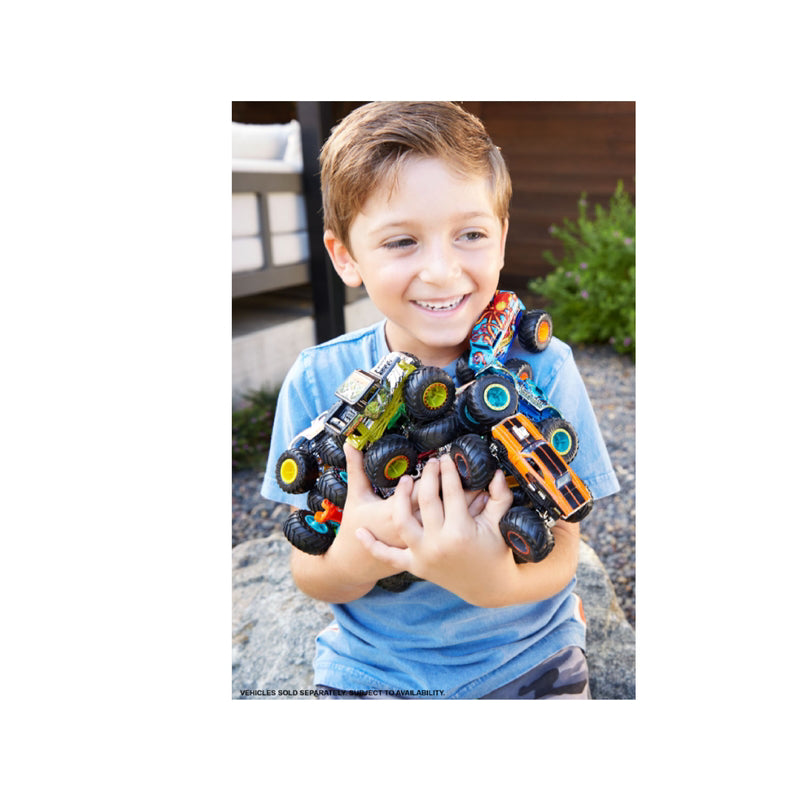 Hot Wheels Monster Trucks Multicolored