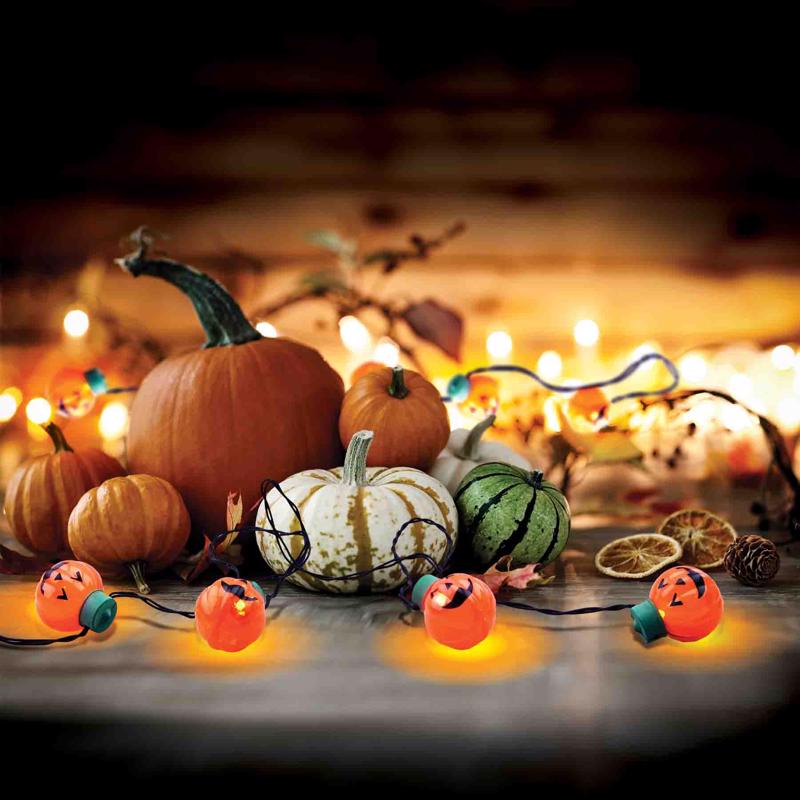 Magic Seasons Assorted 0 in. LED Spooky Light String Halloween Decor