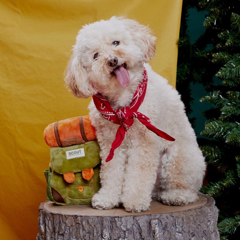 Bark Multicolored Plush Rucksack Dog Toy