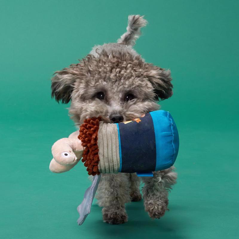 Bark Multicolored Plush Live Bait Bites Dog Toy