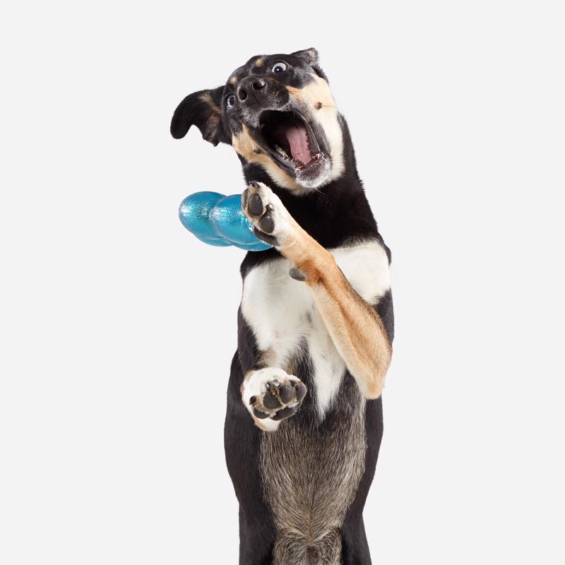 Bark Blue Plush Treat Giver River Dog Toy