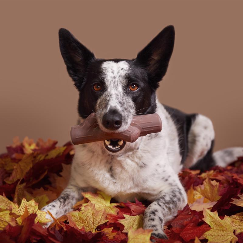 Bark Brown Nylon Fall Fetch Stick Dog Toy