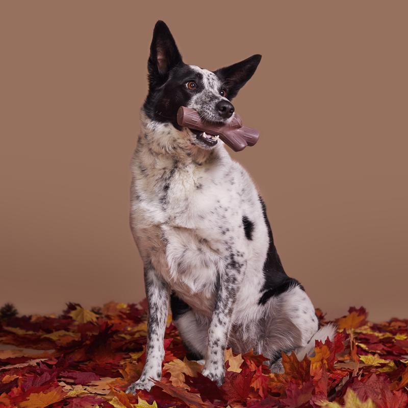 Bark Brown Nylon Fall Fetch Stick Dog Toy
