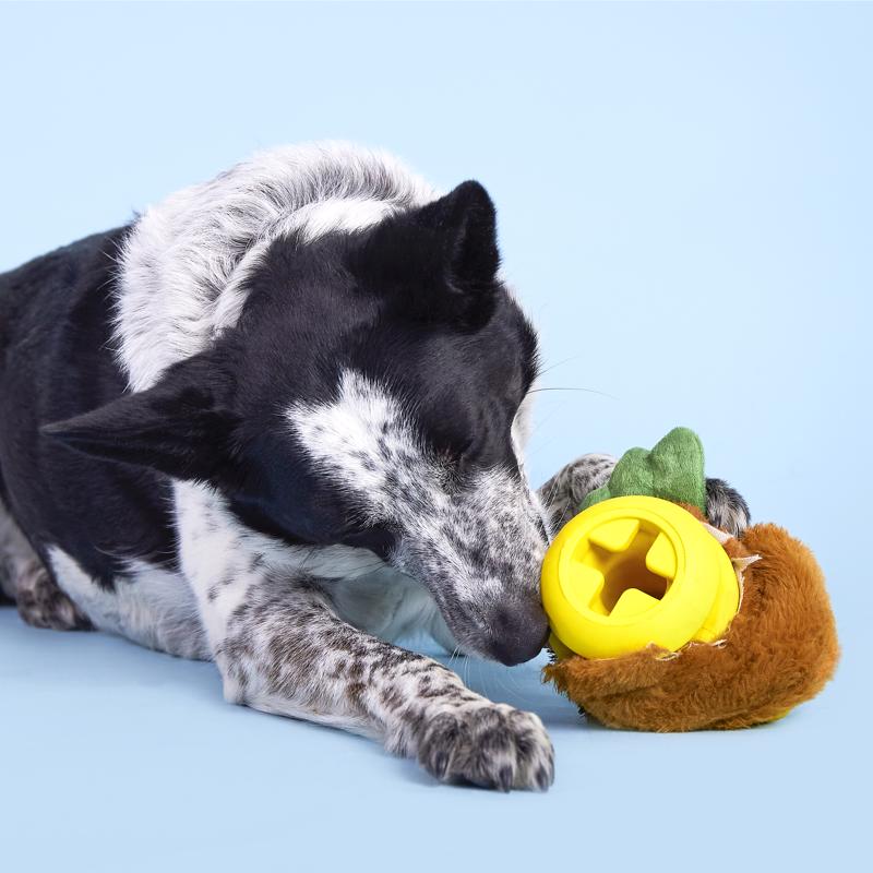 Bark Rubber Hen Dog Toy