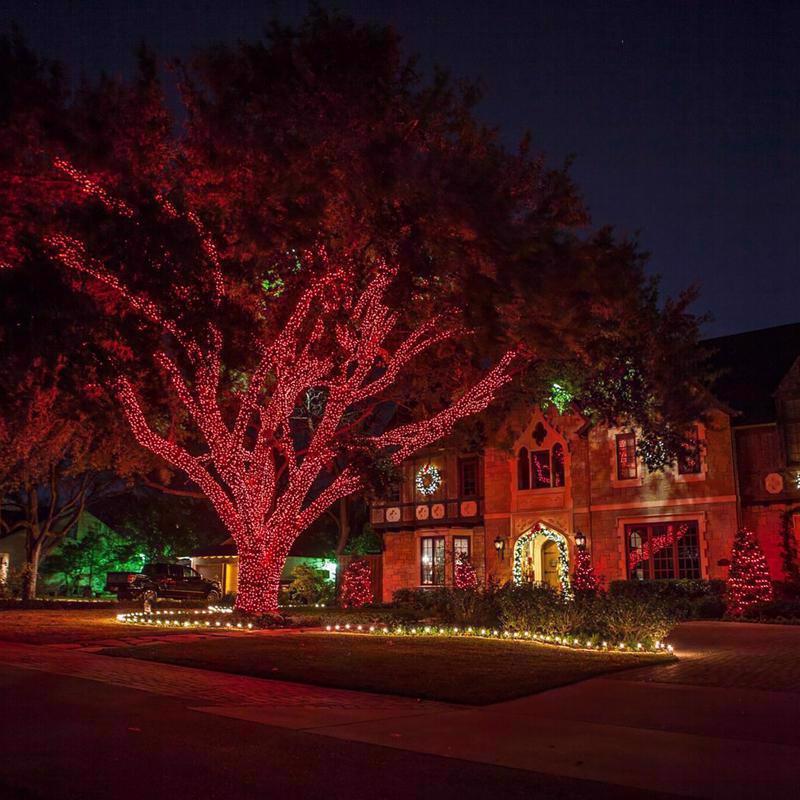 Celebrations Platinum LED T5 Red 50 ct String Christmas Lights 25 ft.