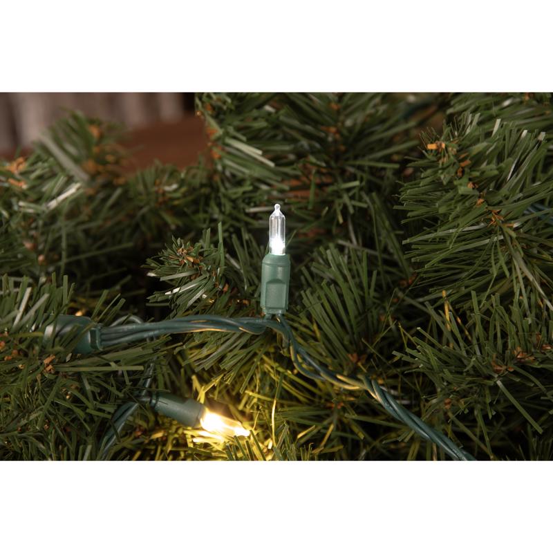 Celebrations Platinum LED T5 Warm White 50 ct String Christmas Lights 25 ft.
