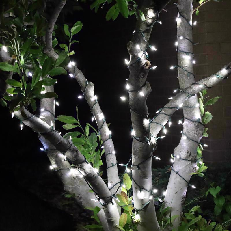 Celebrations Platinum LED T5 Pure White 50 ct String Christmas Lights 25 ft.