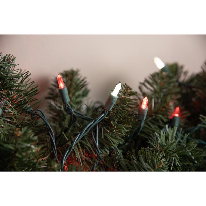 Celebrations Platinum LED T5 Red/White 50 ct String Christmas Lights 25 ft.