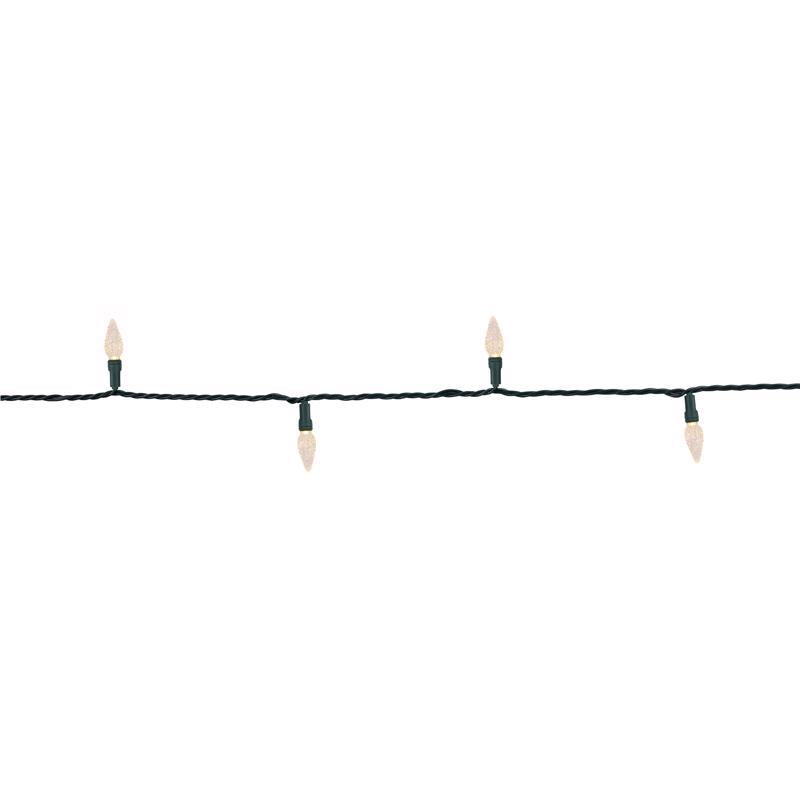 Celebrations Platinum LED C6 Warm White 50 ct String Christmas Lights 25 ft.