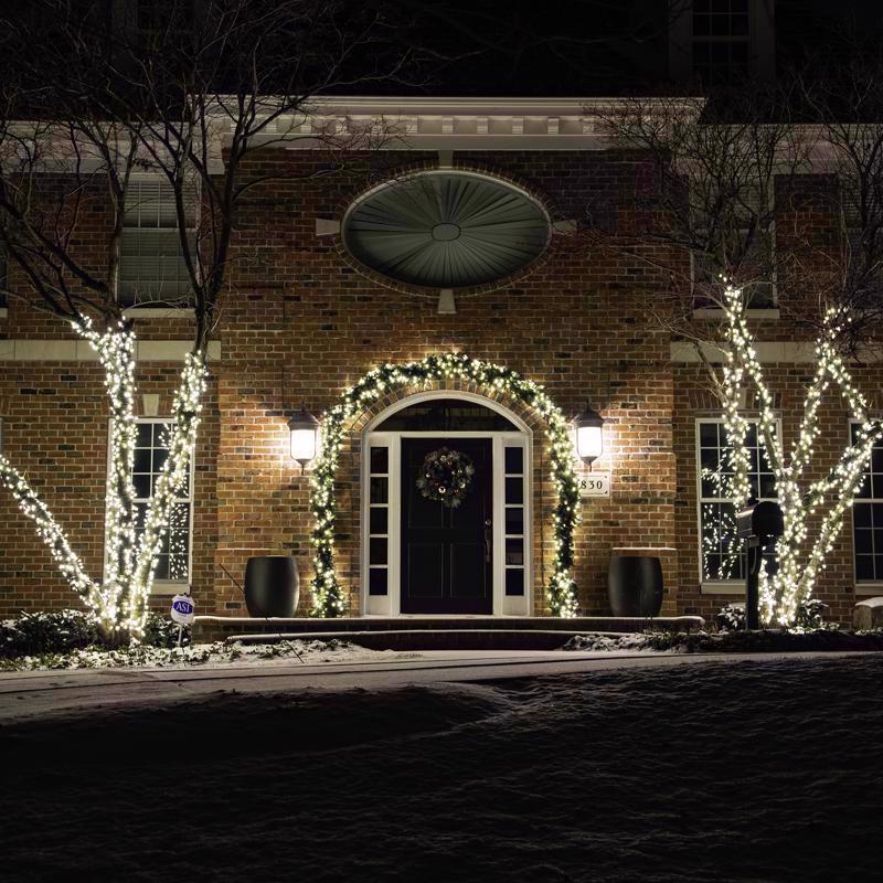 Celebrations Platinum LED C6 Warm White 50 ct String Christmas Lights 25 ft.