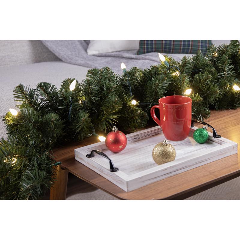 Celebrations Platinum LED C6 Warm White 50 ct String Christmas Lights 25 ft.