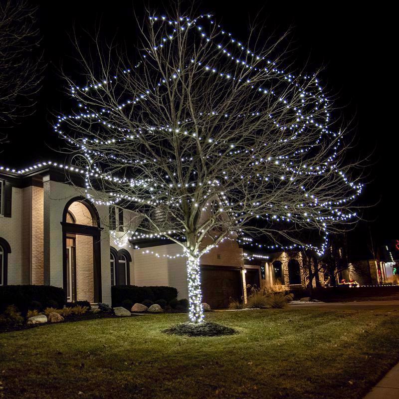 Celebrations Platinum LED C6 Pure White 50 ct String Christmas Lights 25 ft.