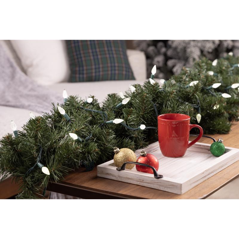 Celebrations Platinum LED C6 Pure White 50 ct String Christmas Lights 25 ft.