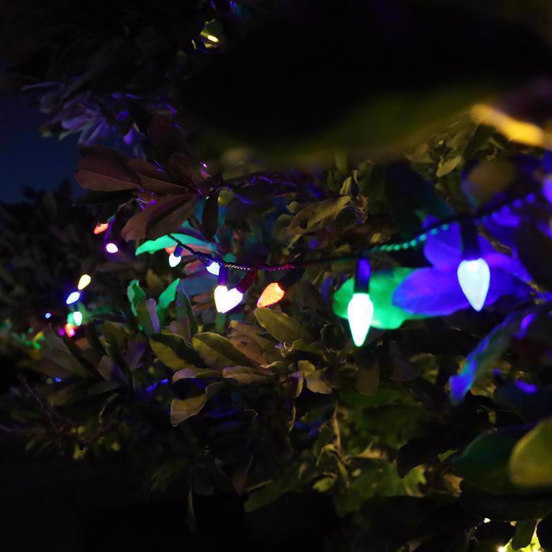 Celebrations Platinum LED C6 Multicolored 50 ct String Christmas Lights 25 ft.