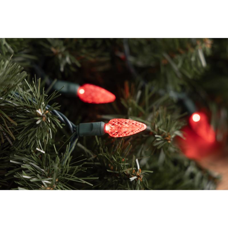 Celebrations Platinum LED C6 Red 50 ct String Christmas Lights 25 ft.