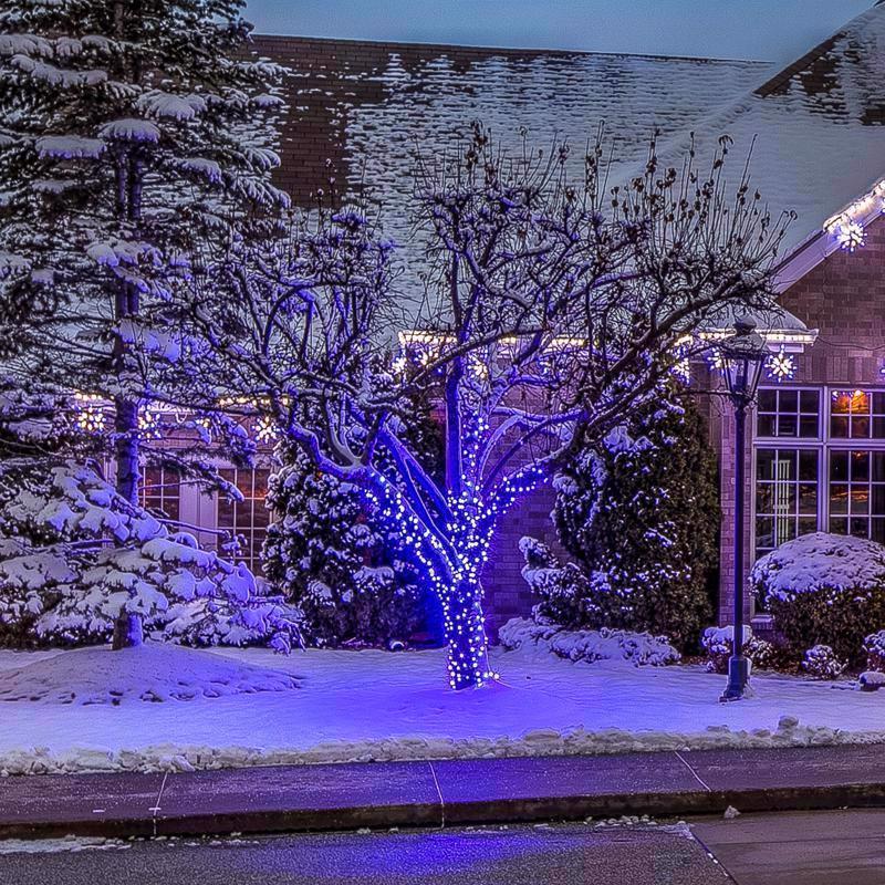 Celebrations Platinum LED C6 Blue 50 ct String Christmas Lights 25 ft.