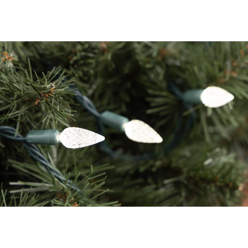 Celebrations Platinum LED C6 Pure White 50 ct String Christmas Lights 25 ft.